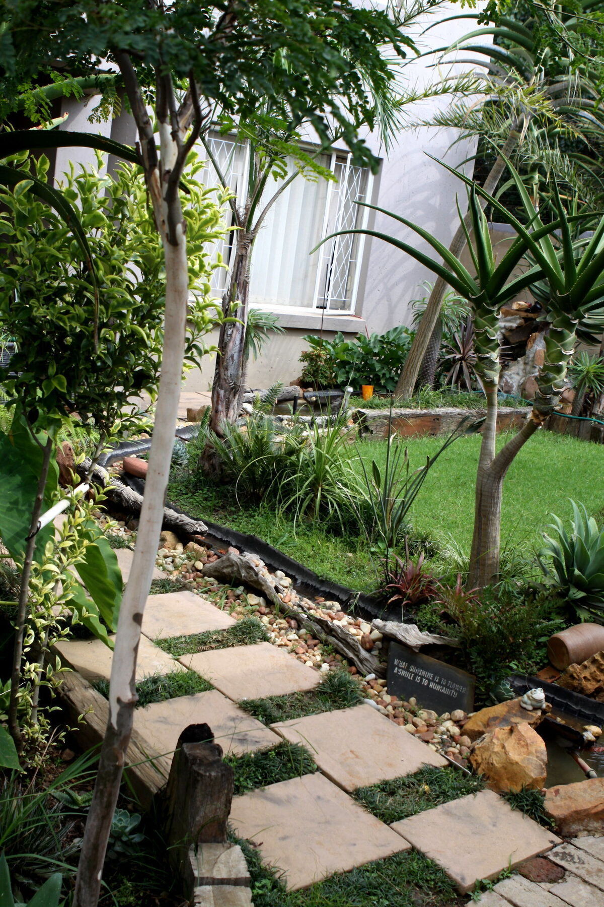 קמפטון פארק Airport Lodge Guest House מראה חיצוני תמונה