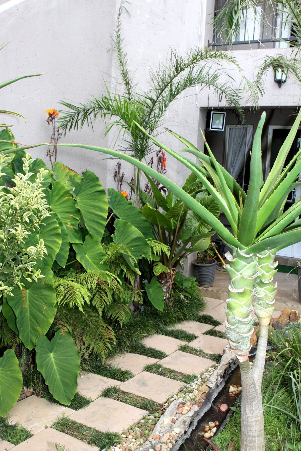 קמפטון פארק Airport Lodge Guest House מראה חיצוני תמונה